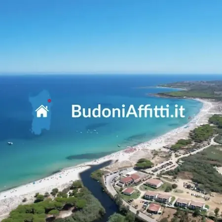 Trilo 350m Dalla Vista Mare Budoniaffitti Budoni