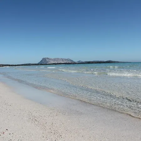 Trilo 350m Dalla Vista Mare Budoniaffitti *