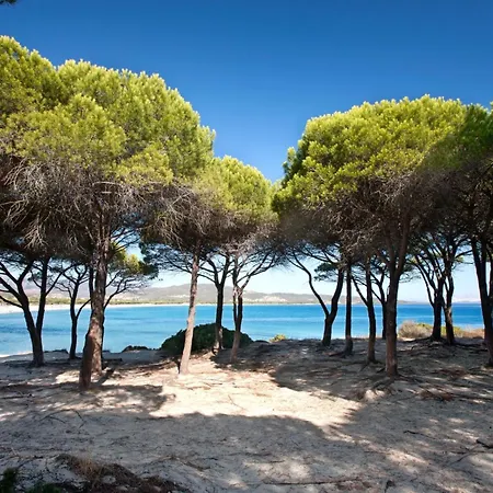 Casa vacanze Trilo 350m Dalla Vista Mare Budoniaffitti