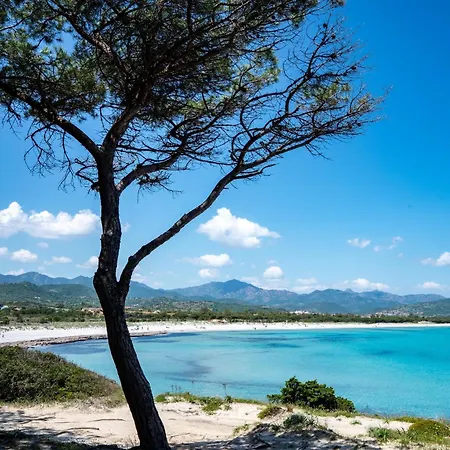 Trilo 350m Dalla Vista Mare Budoniaffitti Casa vacanze *