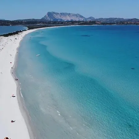 Casa vacanze Trilo 350m Dalla Vista Mare Budoniaffitti