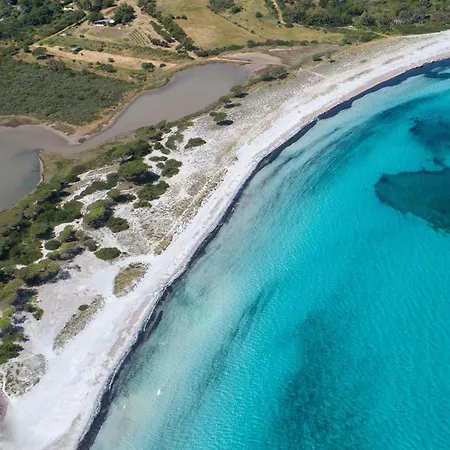 Trilo 350m Dalla Vista Mare Budoniaffitti بودوني