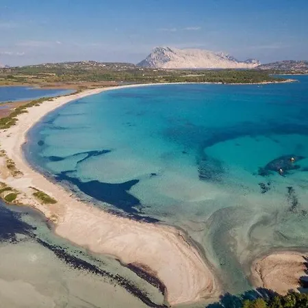 Trilo 350m Dalla Vista Mare Budoniaffitti * Budoni