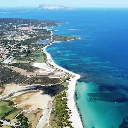 Trilo 350m Dalla Vista Mare Budoniaffitti * Budoni