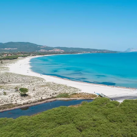 Trilo 350m Dalla Vista Mare Budoniaffitti Casa vacanze *