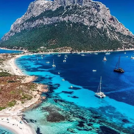 Trilo 350m Dalla Vista Mare Budoniaffitti